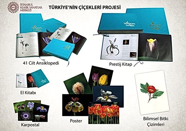 Türkiye'nin Çiçekleri